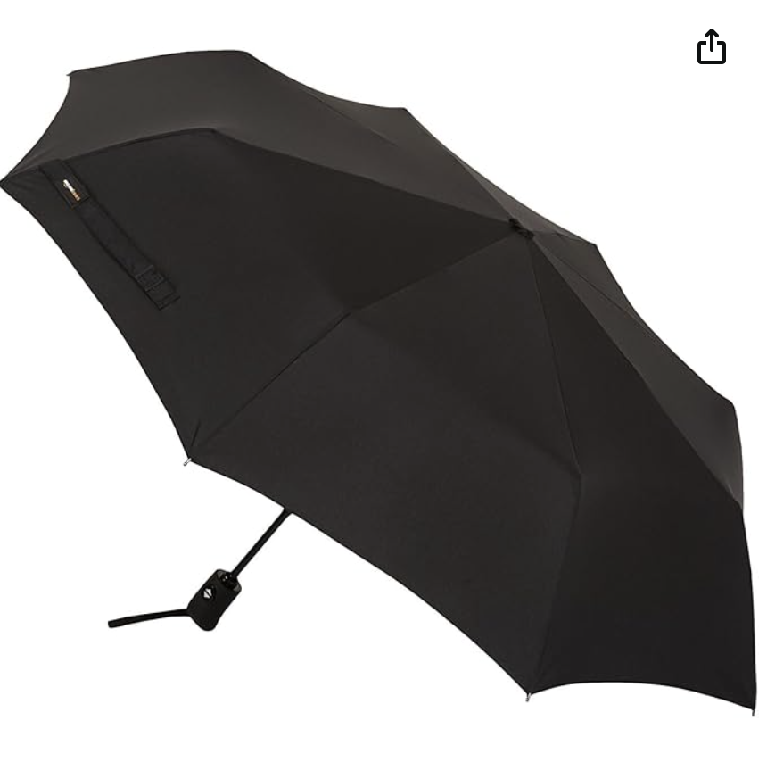 Regenschirm 
